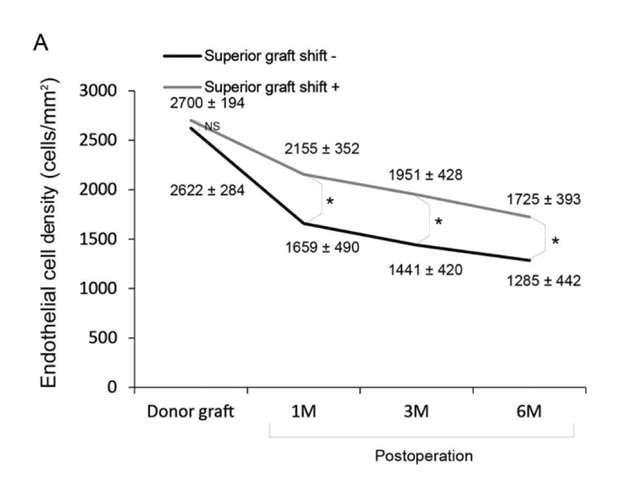 手術半年後の細胞数の表