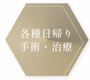 各種日帰り手術・治療