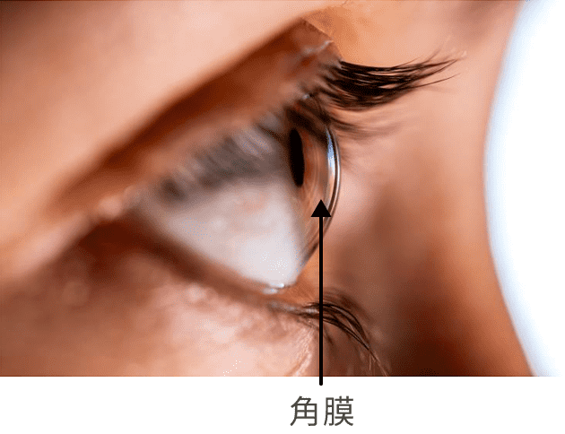 角膜