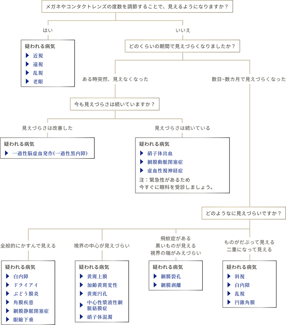見えづらさフローチャート