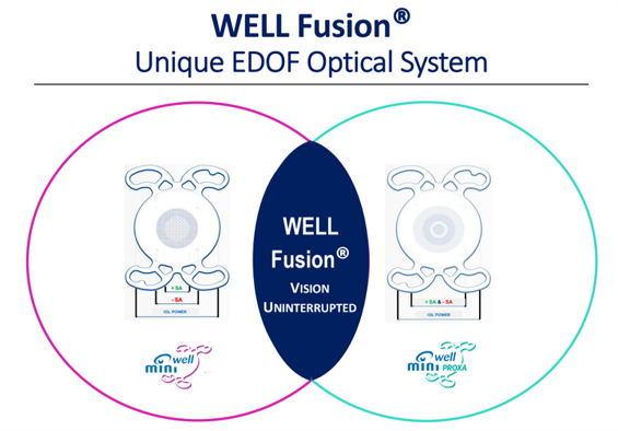 ミニウェル レディ、ミニウェル プロクサ